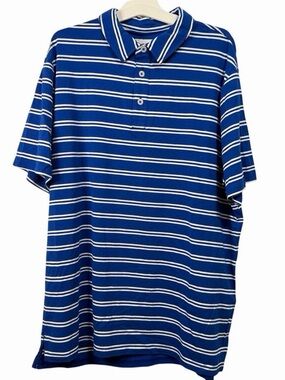 Goodfellow & Co Blue and White Striped Polo Shirt